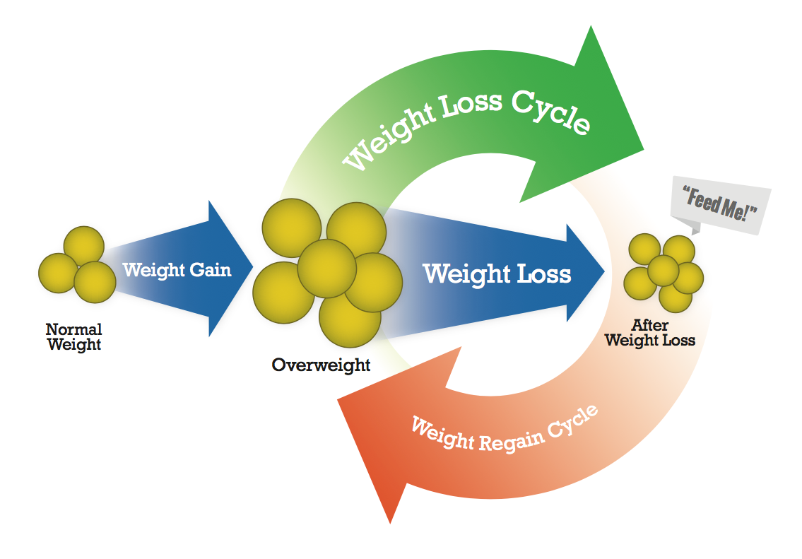 Weight Loss Cycle and Fat Cell Life Span by Rick Tague, MD